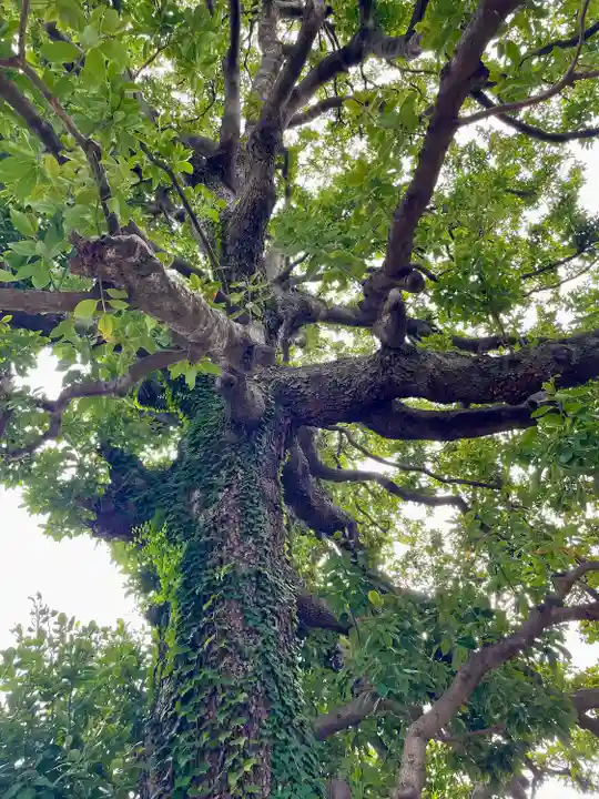 佛心寺(東京都)
