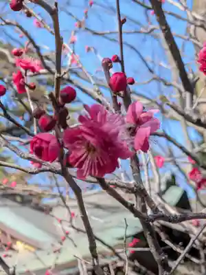 布多天神社(東京都)