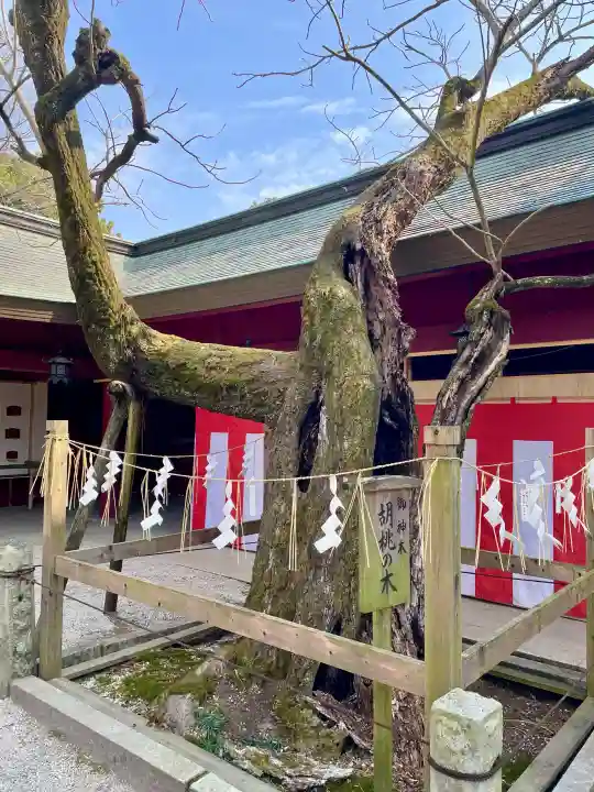 笠間稲荷神社の{uncategorized: "未分類", other: "その他", undefined: "問題あり", building: "その他建物", grave: "お墓", sacred_gate: "鳥居", guardian: "狛犬", statue: "像", buddha: "仏像", history: "歴史", nature: "自然", garden: "庭園", animal: "動物", pagoda: "塔", temizu: "手水舎", mountain_gate: "山門・神門", sanctuary: "本殿・本堂", subordinate: "末社・摂社", art: "芸術", scenery: "景色", jizo: "地蔵", ema: "絵馬", goshuin: "御朱印", omikuji: "おみくじ", items: "授与品その他", amulet: "お守り", goshuincho: "御朱印帳", eats: "食事", festival: "お祭り", votive_dance: "神楽", shichigosan: "七五三参", wedding: "結婚式", experience: "体験その他", initially: "初詣", around: "周辺", anti_infection: "感染症対策"}