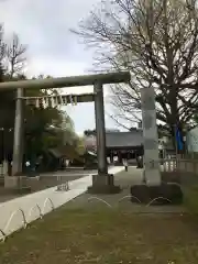 浅草神社の鳥居