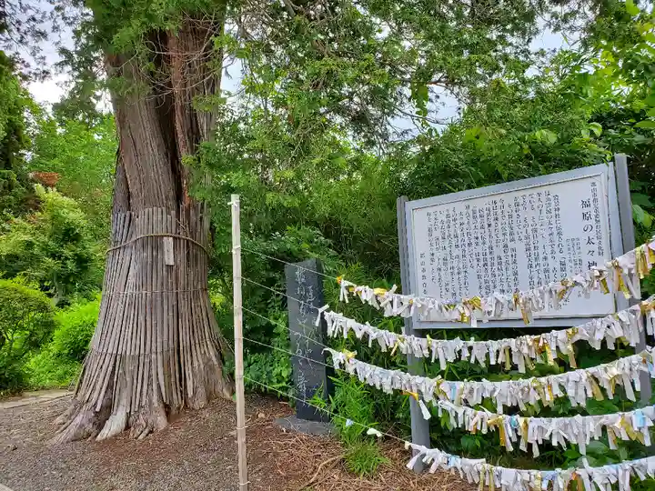 豊景神社のその他建物