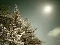 諏訪部神社(神奈川県)