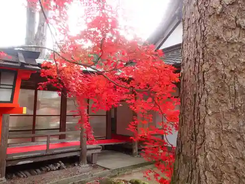 大原野神社の自然