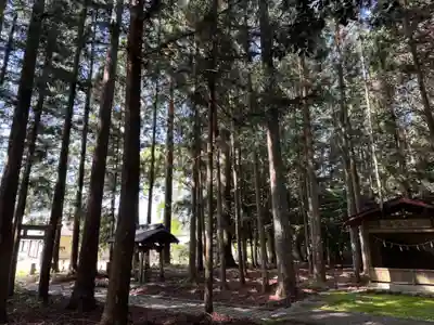 馬背神社(静岡県)