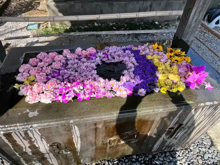 前玉神社(埼玉県)