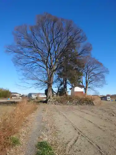 松森稲荷神社(埼玉県)
