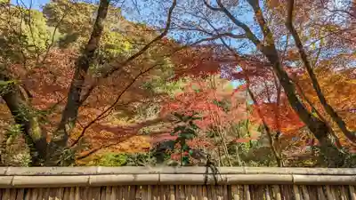 来迎院(京都府)