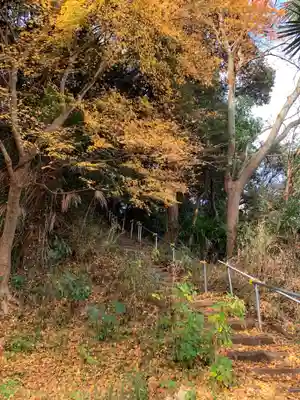 桝原稲荷神社(千葉県)