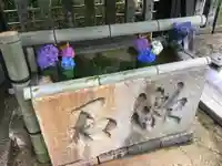 富部神社の手水舎