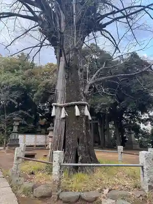 赤坂氷川神社(東京都)