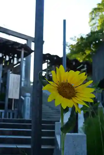 伊勢山皇大神宮(神奈川県)