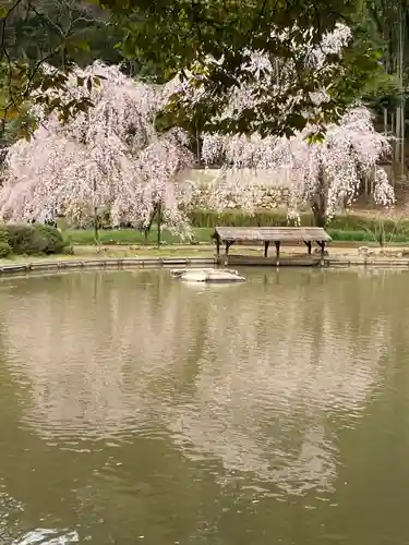 曹源寺(岡山県)
