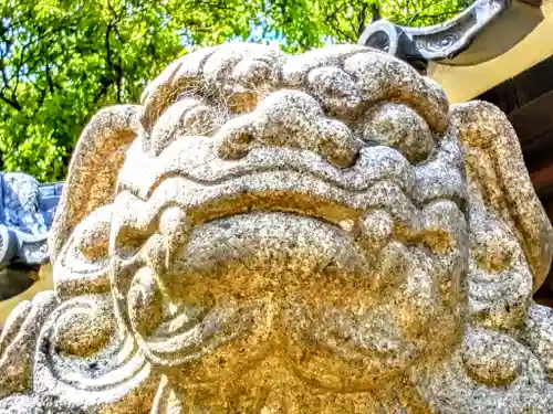 豊石神社の狛犬