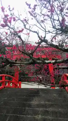 賀茂御祖神社（下鴨神社）のその他建物
