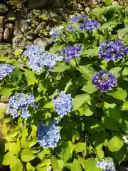 草薙神社(静岡県)