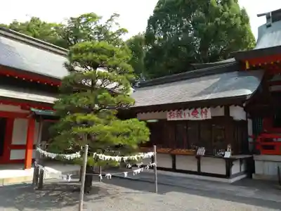 藤崎八旛宮(熊本県)