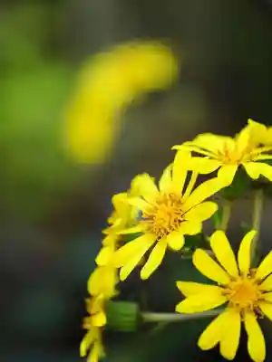 浄土寺(兵庫県)