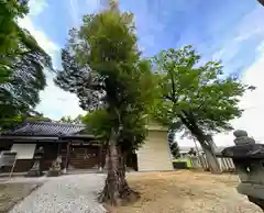 西宮神社の建物その他