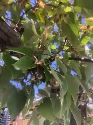 常満寺(愛知県)