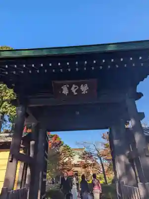 豪徳寺(東京都)