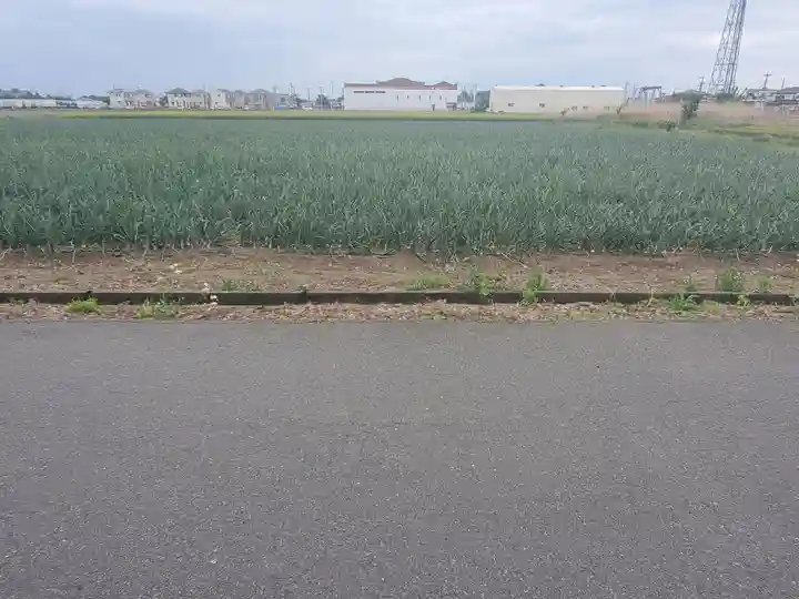 白山神社の周辺