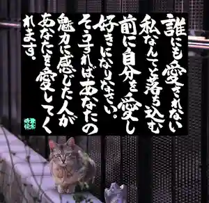 専念寺(大阪府)(2023年05月16日(火) 19時13分44秒投稿)