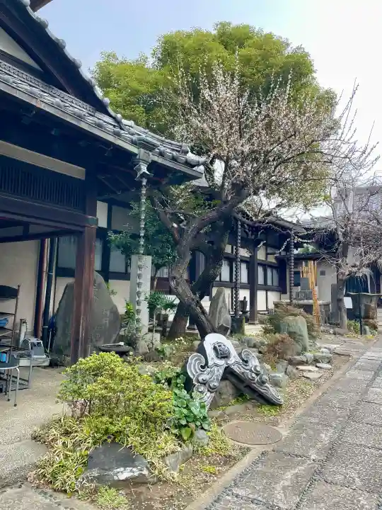 本寿寺の{uncategorized: "未分類", other: "その他", undefined: "問題あり", building: "その他建物", grave: "お墓", sacred_gate: "鳥居", guardian: "狛犬", statue: "像", buddha: "仏像", history: "歴史", nature: "自然", garden: "庭園", animal: "動物", pagoda: "塔", temizu: "手水舎", mountain_gate: "山門・神門", sanctuary: "本殿・本堂", subordinate: "末社・摂社", art: "芸術", scenery: "景色", jizo: "地蔵", ema: "絵馬", goshuin: "御朱印", omikuji: "おみくじ", items: "授与品その他", amulet: "お守り", goshuincho: "御朱印帳", eats: "食事", festival: "お祭り", votive_dance: "神楽", shichigosan: "七五三参", wedding: "結婚式", experience: "体験その他", initially: "初詣", around: "周辺", anti_infection: "感染症対策"}