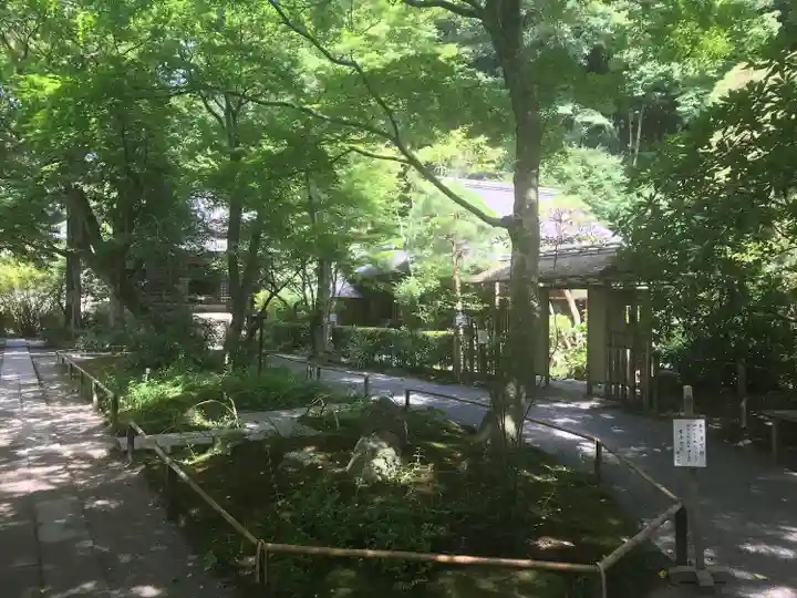 明月院(神奈川県)