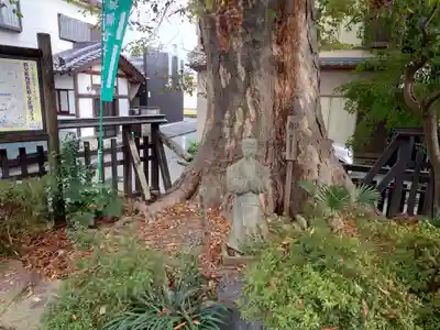 今宮坊(埼玉県)