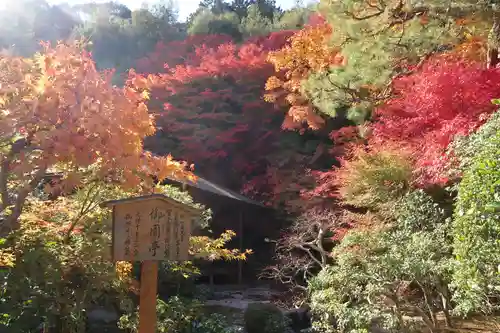 二尊院(京都府)