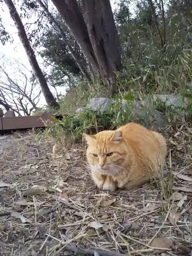 村雲御所瑞龍寺門跡の動物