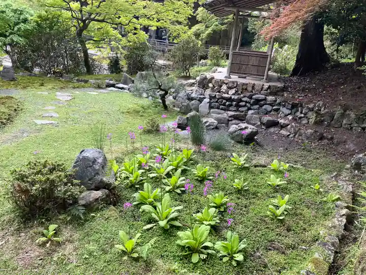 大原寺勝林院の自然