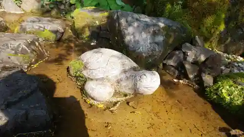 出雲大神宮の狛犬