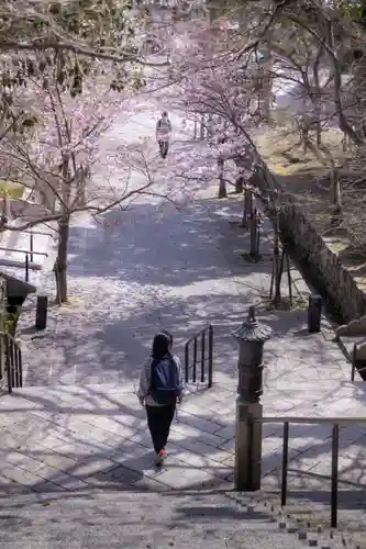 福祥寺（須磨寺）の景色