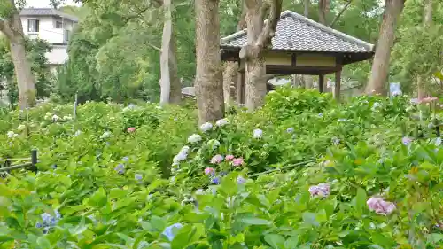 藤森神社の庭園