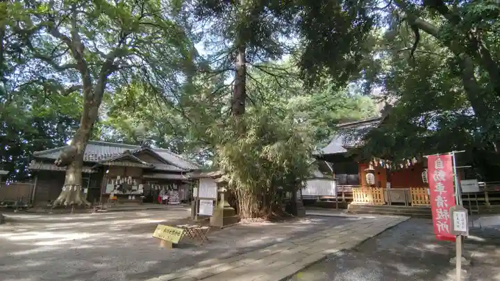 氷川女體神社(埼玉県)