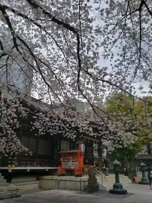 熊野神社(東京都)