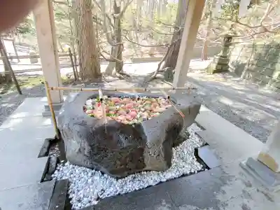 千歳神社の{uncategorized: "未分類", other: "その他", undefined: "問題あり", building: "その他建物", grave: "お墓", sacred_gate: "鳥居", guardian: "狛犬", statue: "像", buddha: "仏像", history: "歴史", nature: "自然", garden: "庭園", animal: "動物", pagoda: "塔", temizu: "手水舎", mountain_gate: "山門・神門", sanctuary: "本殿・本堂", subordinate: "末社・摂社", art: "芸術", scenery: "景色", jizo: "地蔵", ema: "絵馬", goshuin: "御朱印", omikuji: "おみくじ", items: "授与品その他", amulet: "お守り", goshuincho: "御朱印帳", eats: "食事", festival: "お祭り", votive_dance: "神楽", shichigosan: "七五三参", wedding: "結婚式", experience: "体験その他", initially: "初詣", around: "周辺", anti_infection: "感染症対策"}