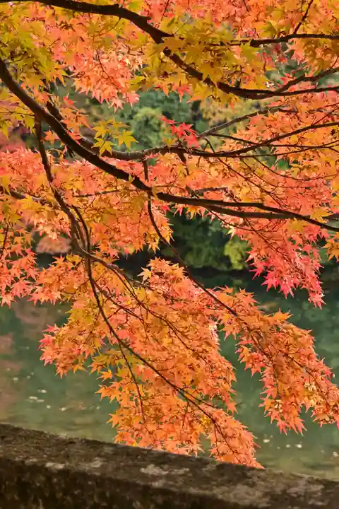 永源寺(滋賀県)