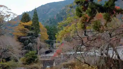 日蓮宗 総本山 塔頭 定林坊(じょうりんぼう)の周辺