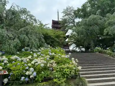 本土寺(千葉県)