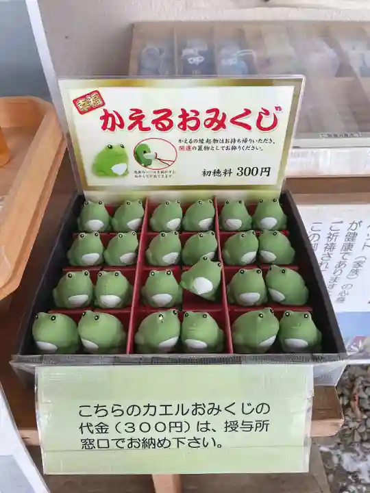 星置神社のおみくじ