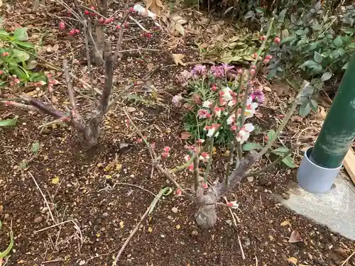 横浜御嶽神社(神奈川県)