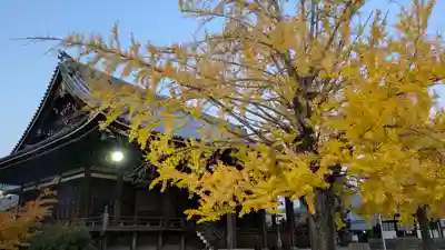 頂妙寺(京都府)