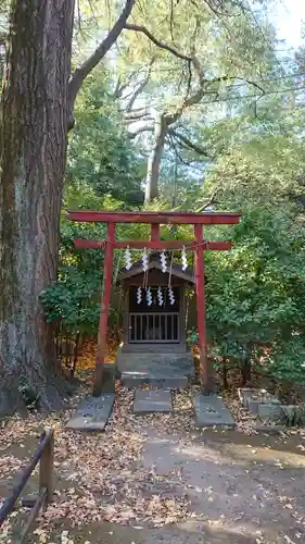 赤坂氷川神社の鳥居