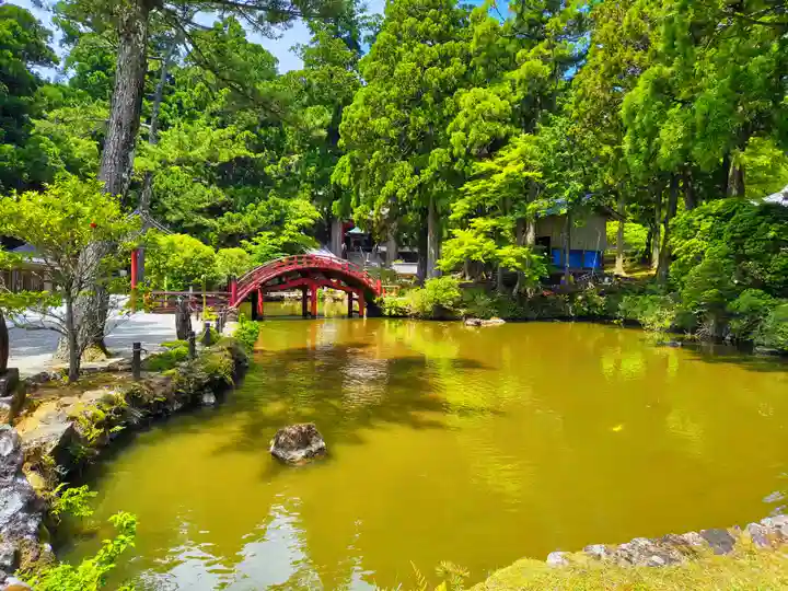 金剛證寺の庭園