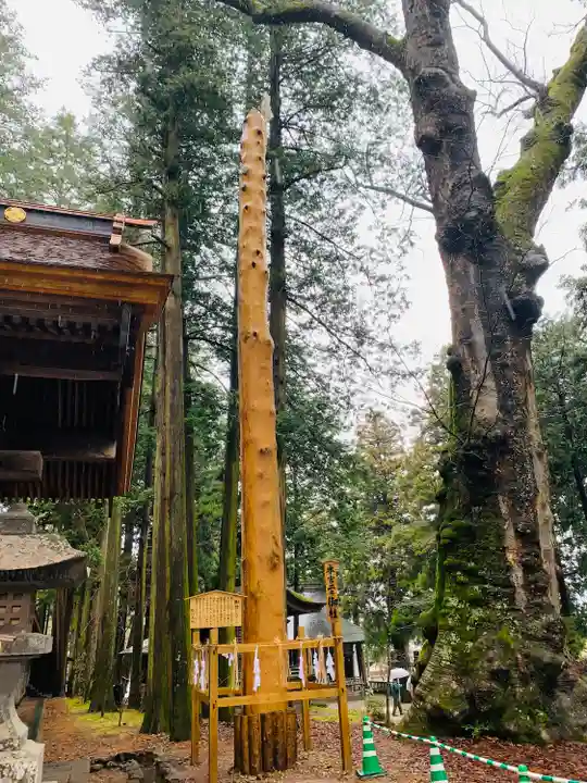 諏訪大社(長野県)