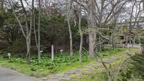 鳥取神社の庭園