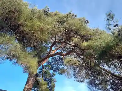 日枝神社(宮城県)