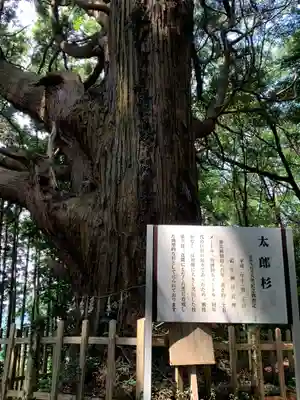 武生神社(茨城県)